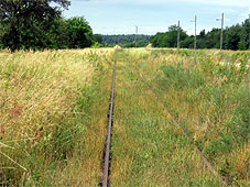 min 198 1.jpg min 198 1.jpg